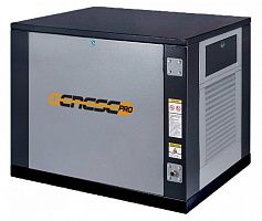 Газовый генератор Genese Pro 6250 Neva в кожухе ДизельЭнергоРесурс